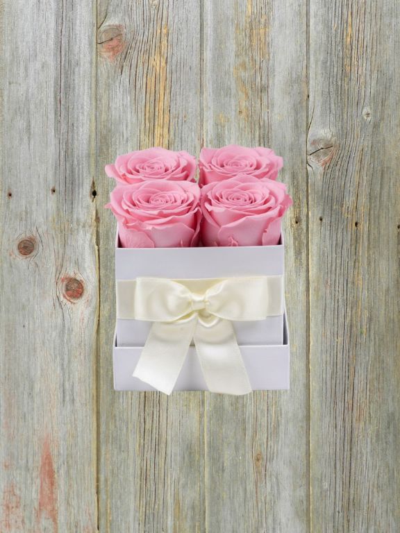 4 PRESERVED PINK ROSE BLOOMS IN A BOX